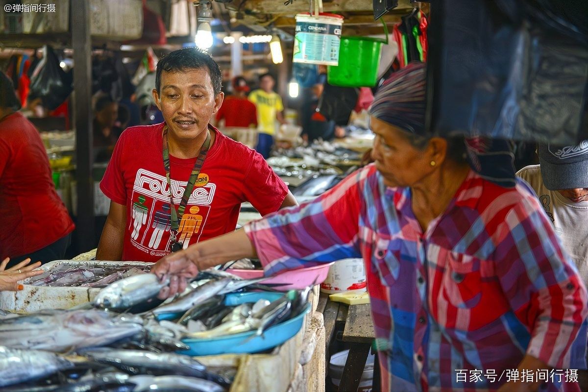 巴厘島金巴蘭魚市是否只批發紅龍魚（巴厘島金巴蘭魚市是否專門批發紅龍魚的問題并沒有明確信息）