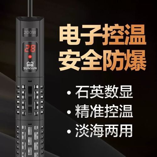金牛龍魚屬于什么檔次