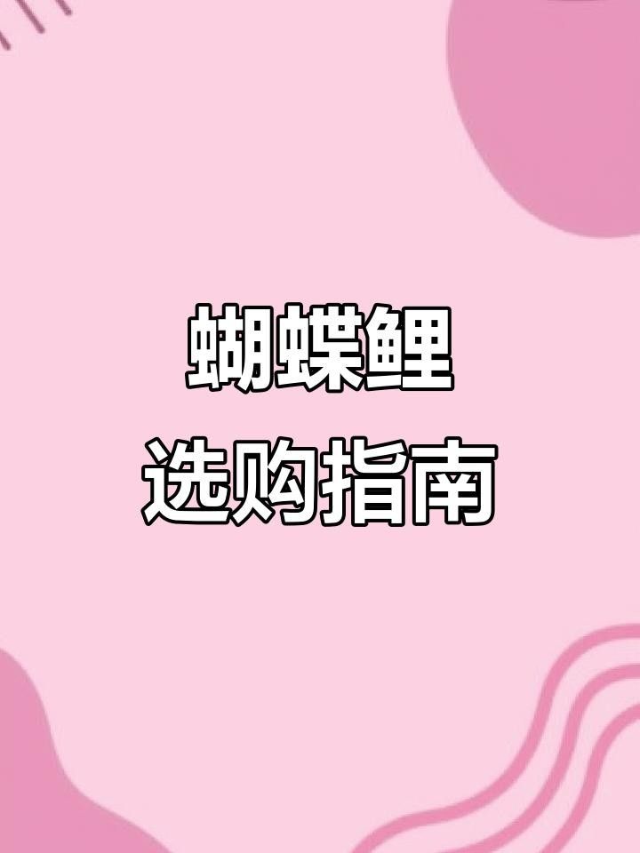 正宗蝴蝶鯉 正宗蝴蝶鯉 觀賞魚百科