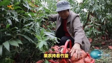 阜南縣龍王鄉