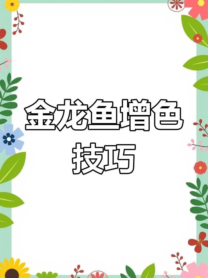 如何讓金龍魚增色（如何通過燈光提升金龍魚色彩）