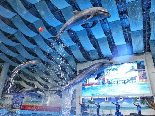 浩泰水族館營業時間是？（上海海洋水族館的營業時間是多久？）