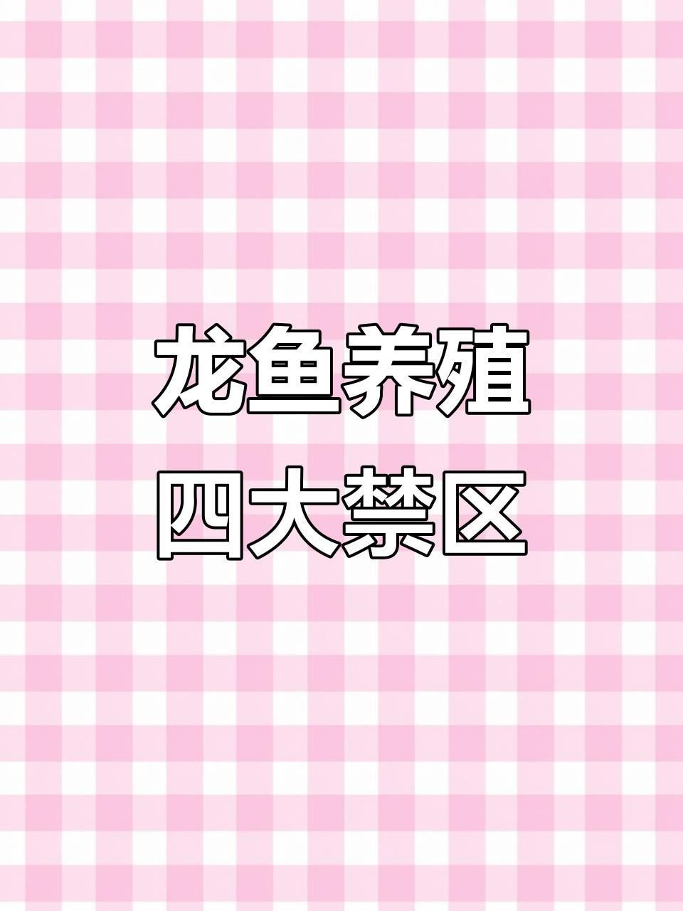 岳塘紅龍魚最忌三種東西