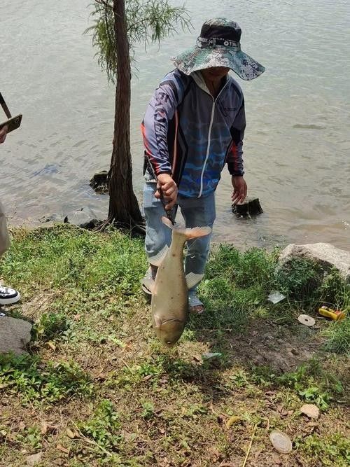 界首釣魚的地方（界首釣魚的地方，界首釣魚的地點）