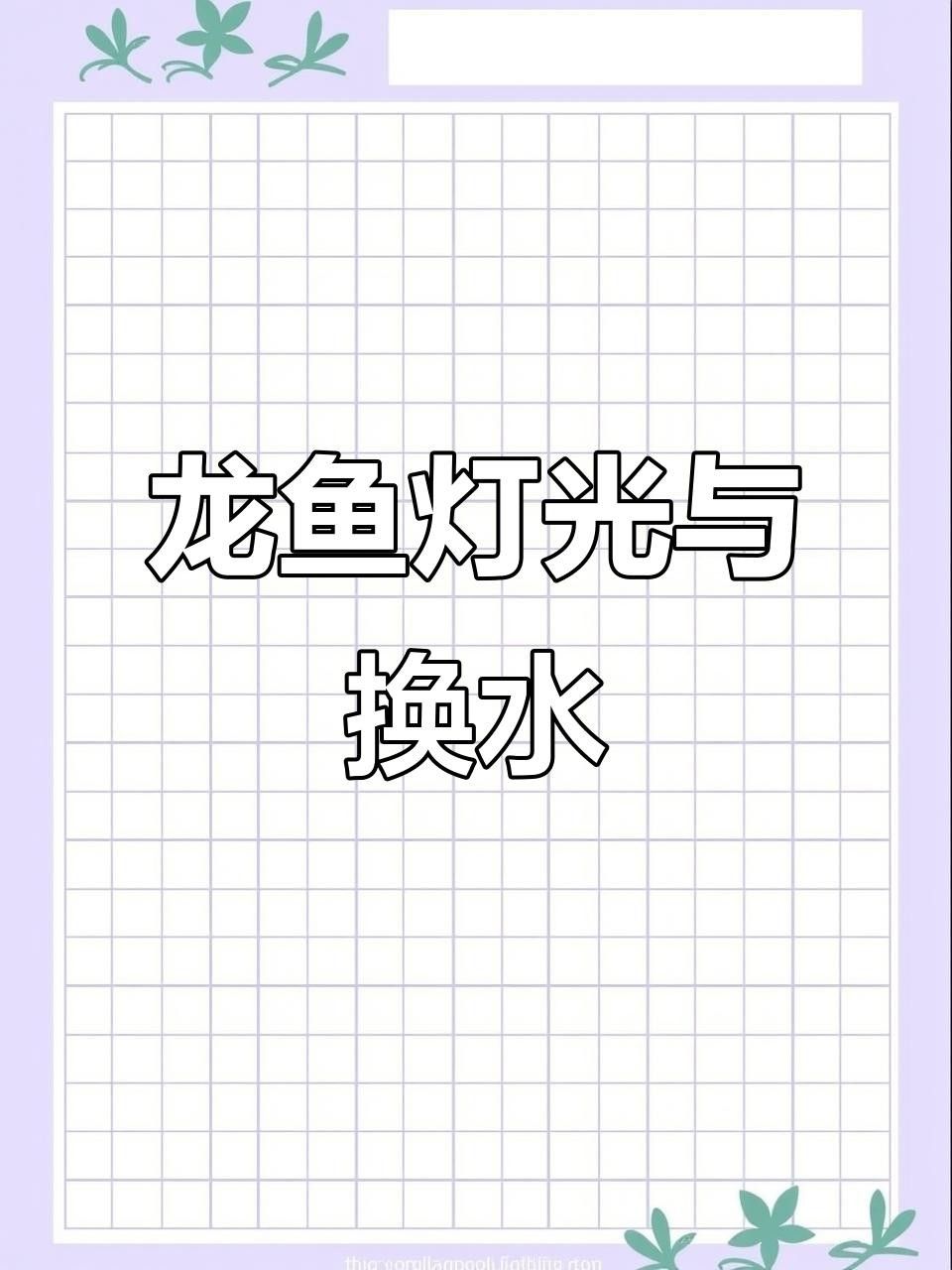 如何讓龍魚發(fā)色更好一些（龍魚發(fā)色管理技巧）
