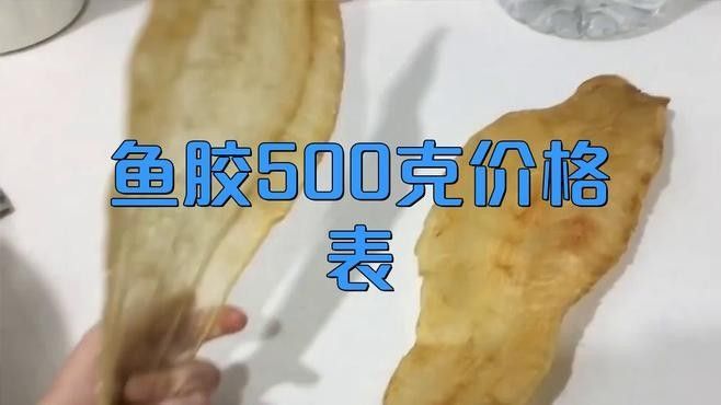 小金龍魚膠的價格范圍（小金龍魚膠的價格范圍在幾十元到幾百元人民幣不等）