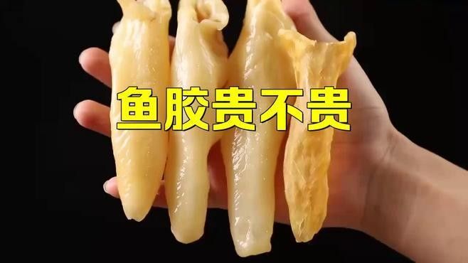 小金龍魚膠的價格范圍（小金龍魚膠的價格范圍在幾十元到幾百元人民幣不等）