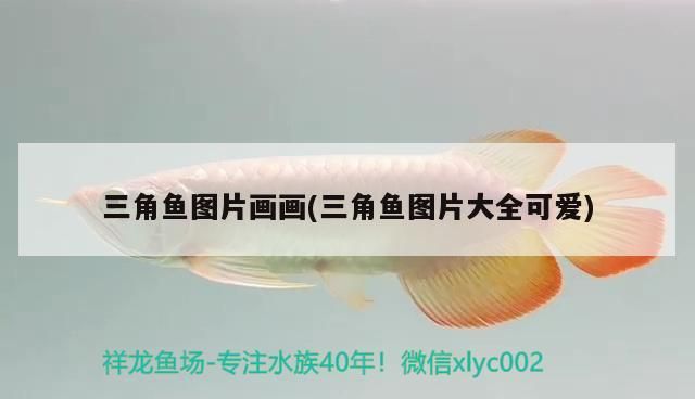 三角魚圖片畫畫(三角魚圖片大全可愛) 三角魚圖片畫畫(三角魚圖片大全可愛) 觀賞魚百科