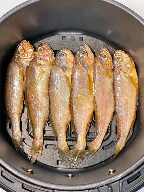 金龍魚和小黃魚有什么區別