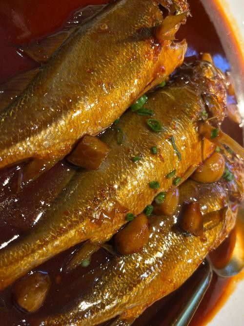 金龍魚和小黃魚有什么區別