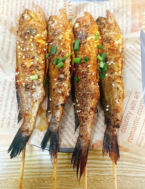 金龍魚和小黃魚有什么區別
