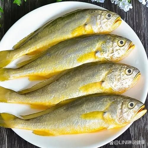 金龍魚和小黃魚有什么區別