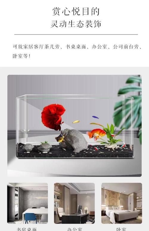 哪些材質(zhì)的魚缸蓋適合六角龍？