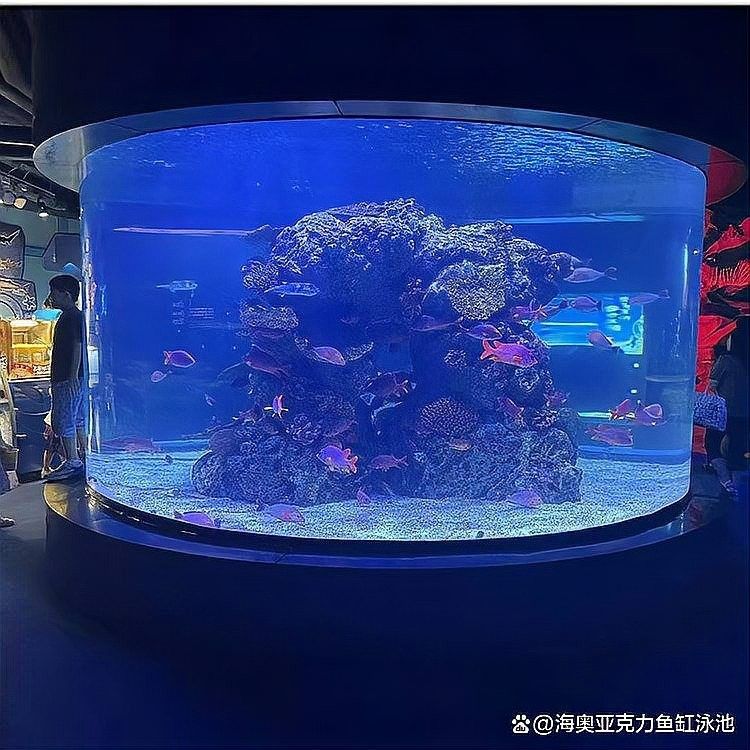 哪些材質(zhì)的魚缸蓋適合六角龍？