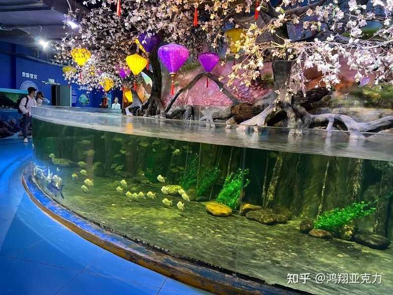 哪些材質(zhì)的魚缸蓋適合六角龍？