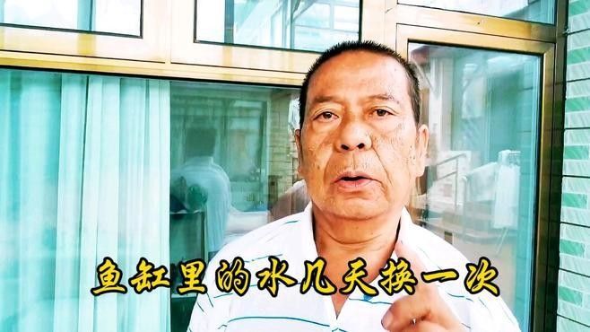 龍魚吃活蝦和冷凍蝦哪個更健康？，活蝦和冷凍蝦哪個更健康？