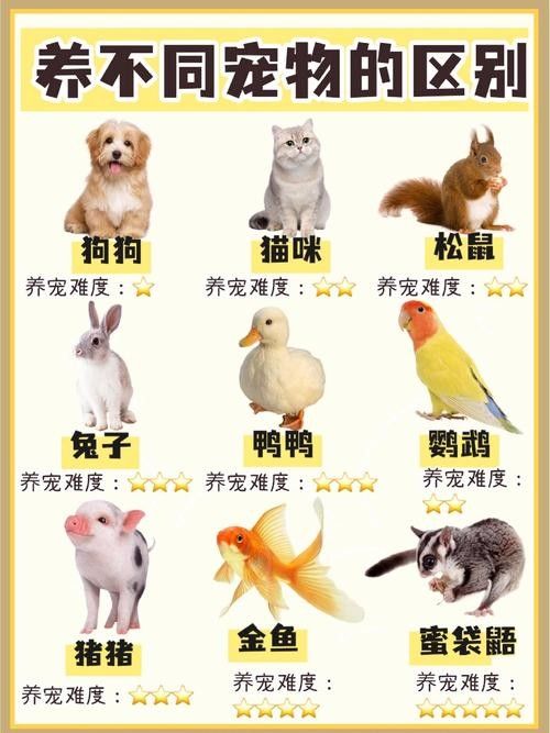 推薦一些更多混養品種（哪些寵物可以混養在一起養在一起呆萌醬家里不夠亂的）