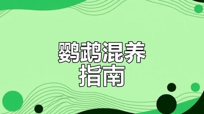 推薦一些更多混養品種（哪些寵物可以混養在一起養在一起呆萌醬家里不夠亂的）