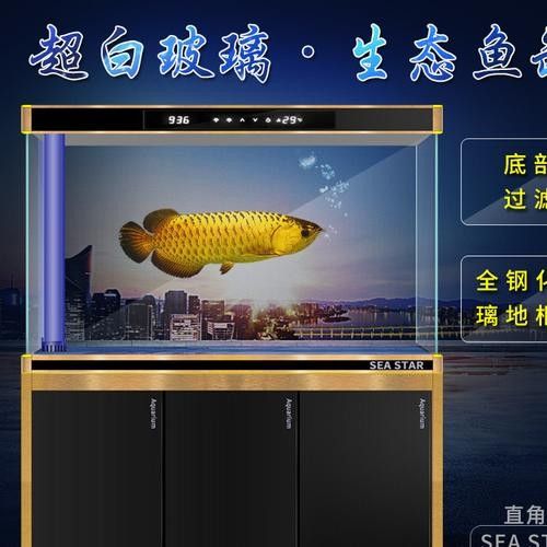 西龍魚缸有哪些型號？（西龍魚缸哪個型號性價比最高西龍魚缸哪個型號性價比最高）