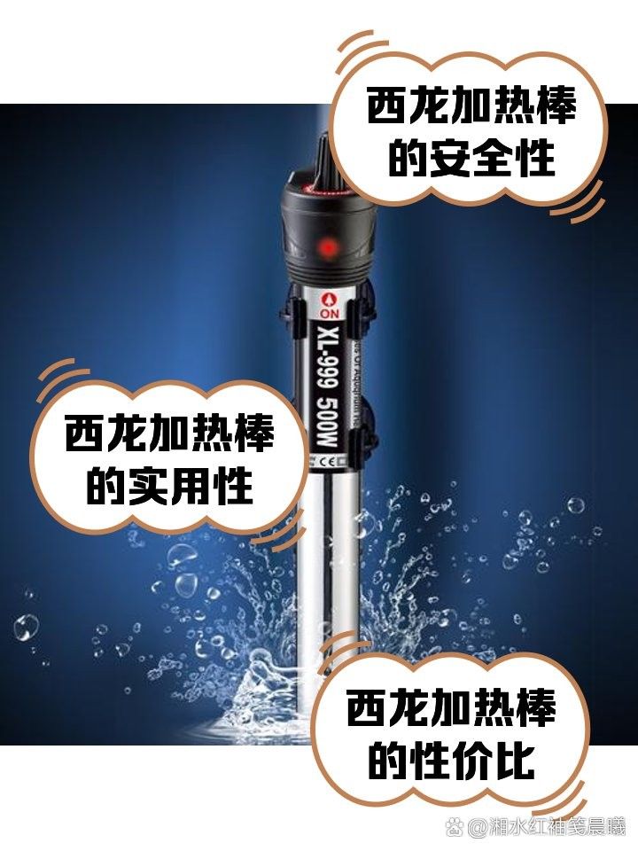 西龍魚缸有哪些型號？（西龍魚缸哪個型號性價比最高西龍魚缸哪個型號性價比最高）