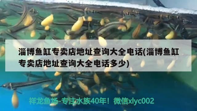 淄博魚缸專賣店地址查詢大全電話(淄博魚缸專賣店地址查詢大全電話多少)