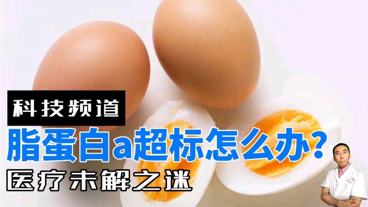 美國新臟病雜志脂蛋白a 美國新臟病雜志脂蛋白a 觀賞魚百科 第1張