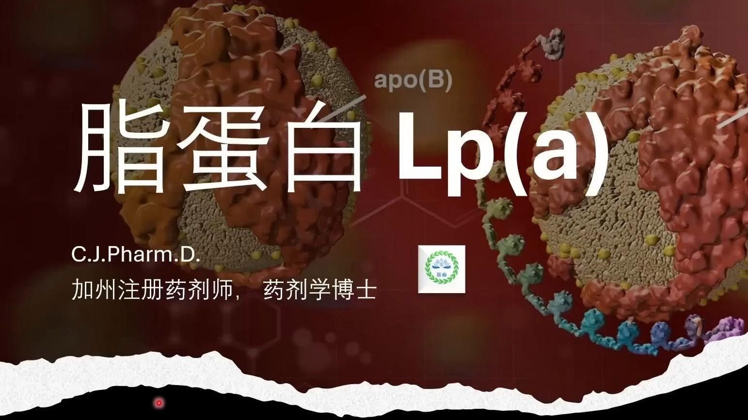 美國新臟病雜志脂蛋白a 美國新臟病雜志脂蛋白a 觀賞魚百科 第4張