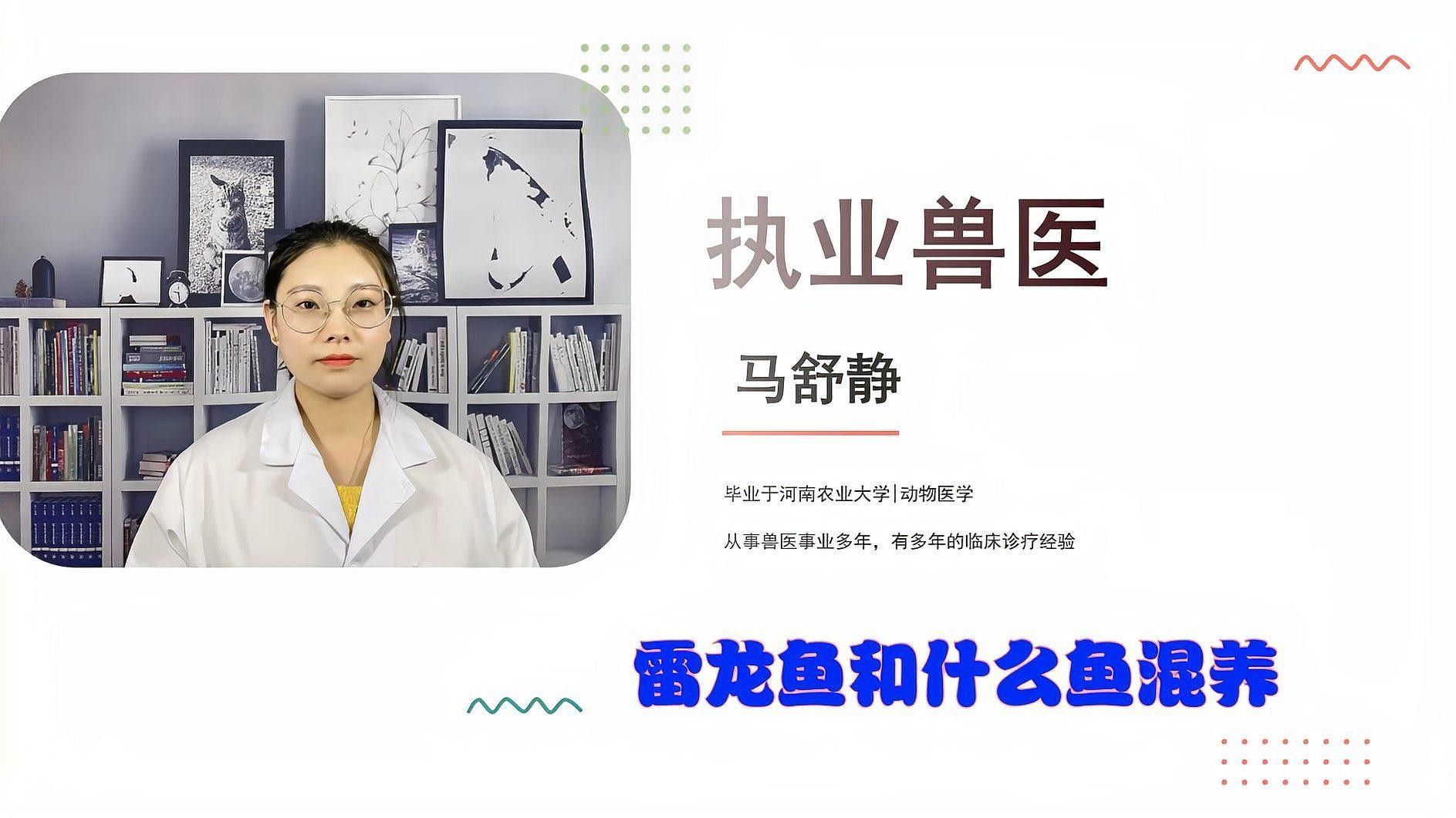 幻紅雷龍魚可以混養哪些魚？