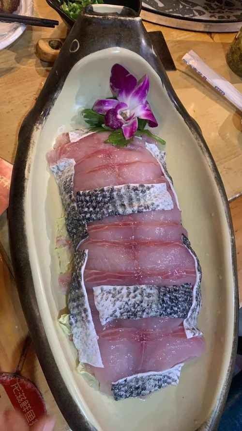 肥坨魚圖片 肥坨魚圖片 觀賞魚百科 第10張