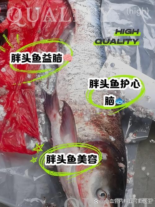 肥坨魚圖片 肥坨魚圖片 觀賞魚百科 第12張