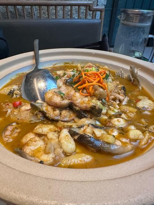 肥坨魚圖片 肥坨魚圖片 觀賞魚百科 第14張