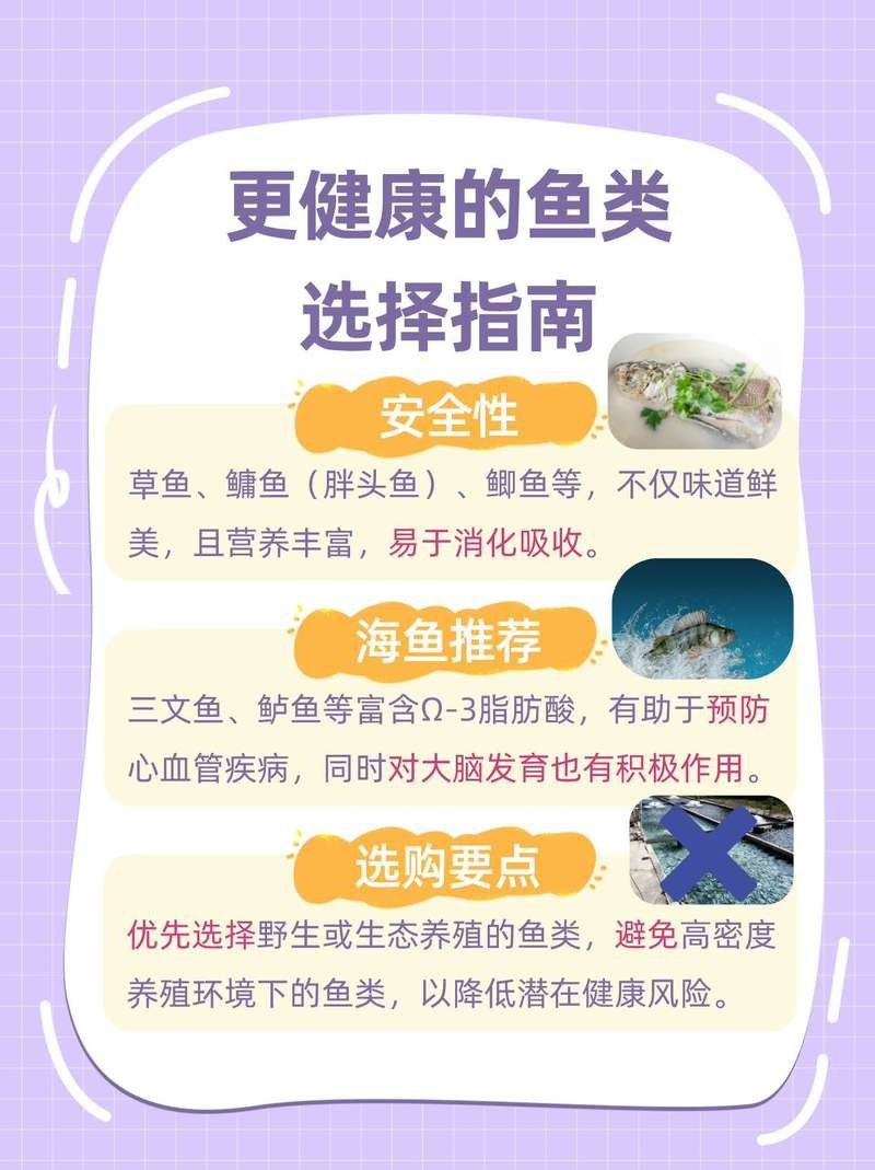 金桂魚又稱癌癥魚（金桂魚為什么叫癌魚）