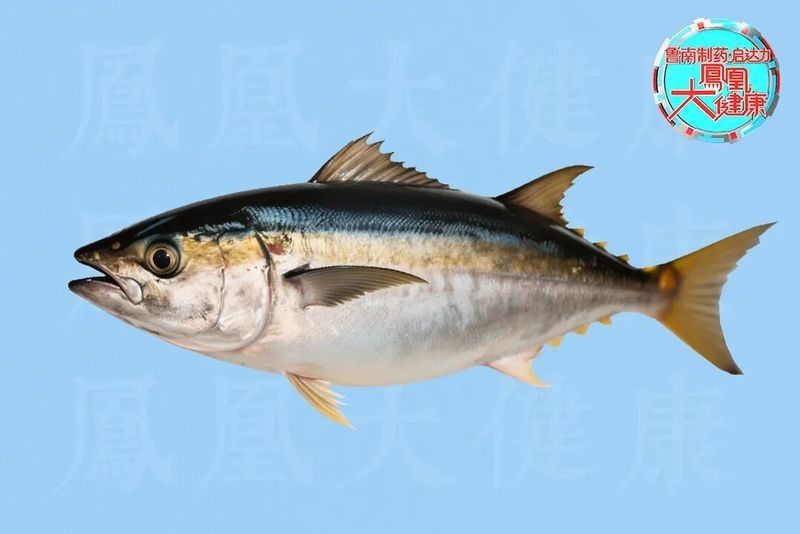 金桂魚又稱癌癥魚（金桂魚為什么叫癌魚）