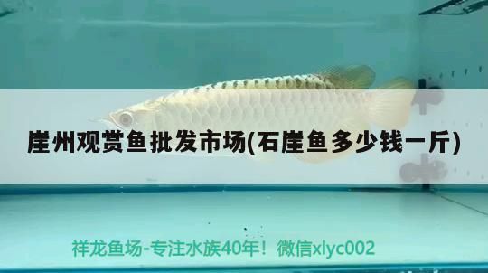<strong><mark>崖州</mark></strong>觀賞魚批發市場(石崖魚多少錢一斤)
