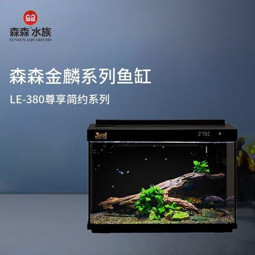 水族品牌