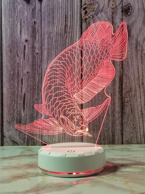 金龍魚專用燈使用多久需要更換