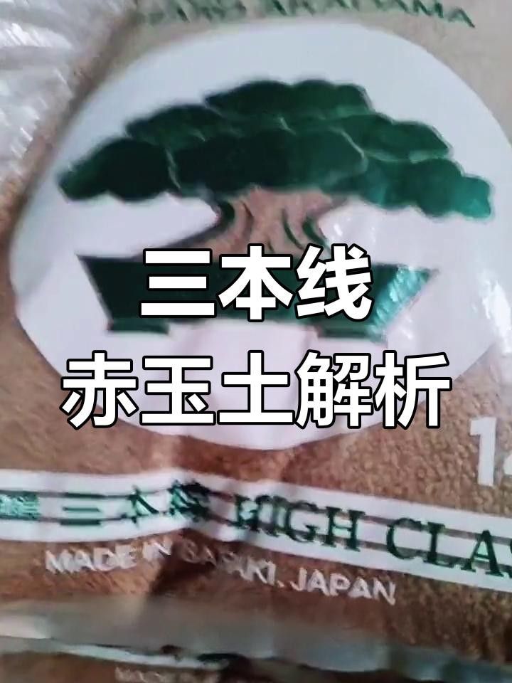 祥龍漁場有哪些官方社交媒體賬號?,祥龍漁場元寶鳳凰魚的價格是多少 龍魚百科 第1張 祥龍漁場有哪些官方社交媒體賬號?,祥龍漁場元寶鳳凰魚的價格是多少 祥龍漁場有哪些官方社交媒體賬號?,祥龍漁場元寶鳳凰魚的價格是多少 龍魚百科 第1張
