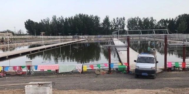 積石山哪個(gè)水族館龍魚好？祥龍魚場龍魚（祥龍魚場北京聊城分店）
