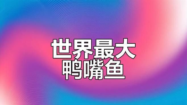 撒旦鴨嘴魚(yú)