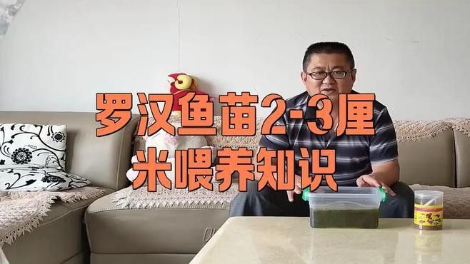羅漢魚多久喂一次？