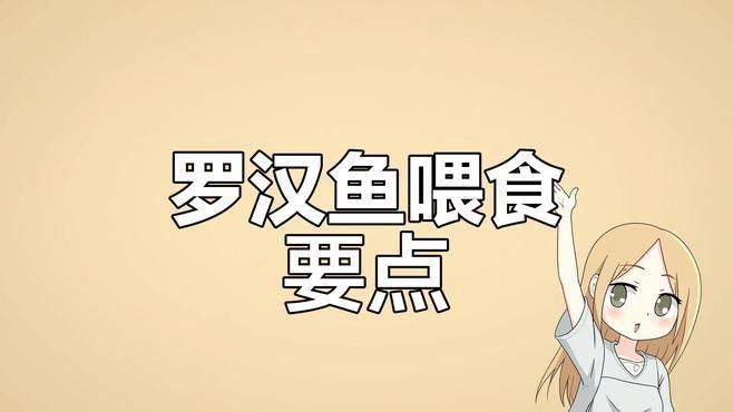 羅漢魚多久喂一次？
