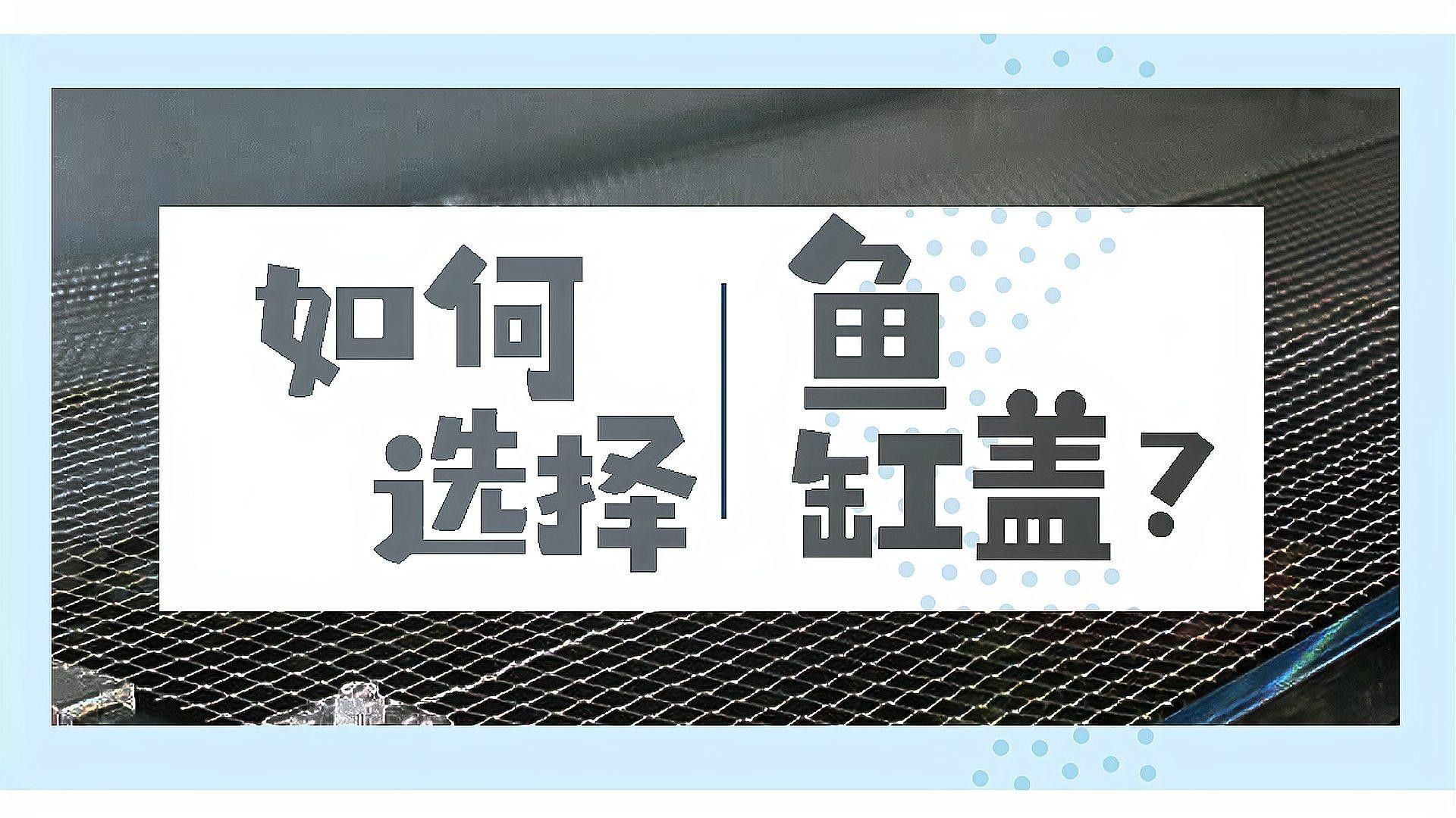 雷龍魚缸蓋需要留透氣孔嗎