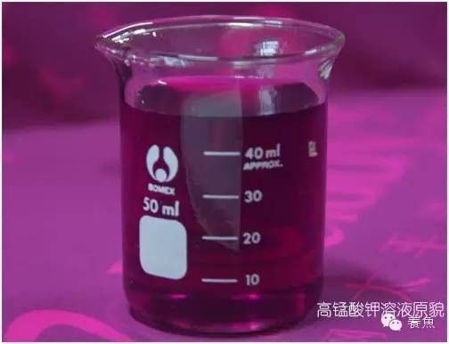 龍魚活餌多久消毒一次（龍魚活餌消毒頻率取決于多種因素，） 龍魚活餌多久消毒一次（龍魚活餌消毒頻率取決于多種因素，） 龍魚百科 第3張