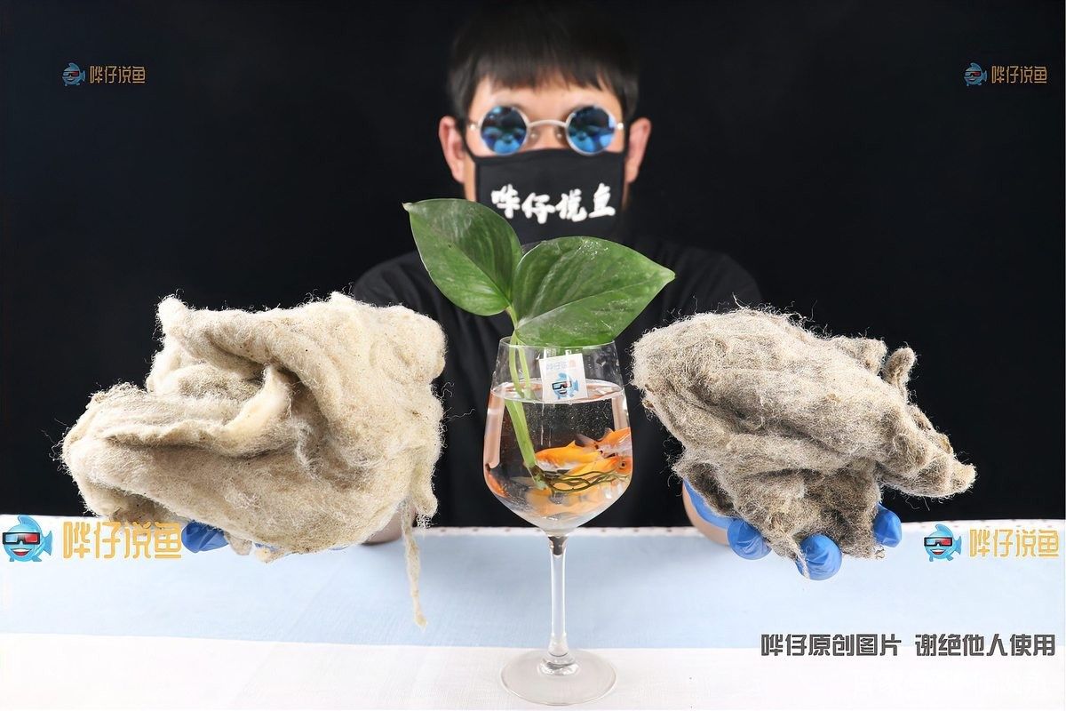 如何清洗和更換龍魚過濾材料