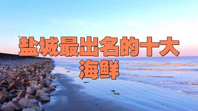江蘇鹽城有名的魚 江蘇鹽城有名的魚 觀賞魚百科 第5張