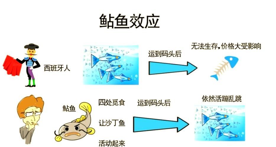 如何減少雷龍魚之間的爭(zhēng)斗？