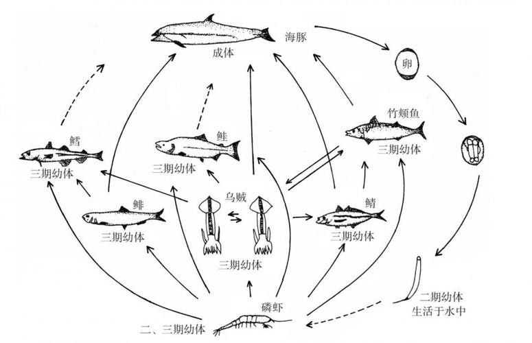 如何減少雷龍魚之間的爭(zhēng)斗？