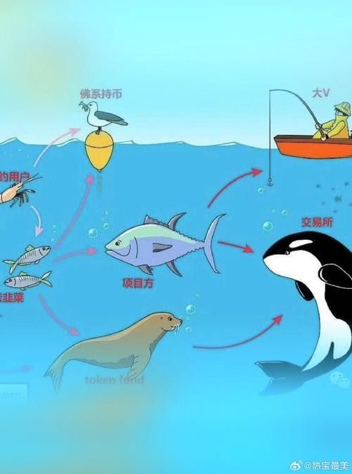 如何減少雷龍魚之間的爭(zhēng)斗？