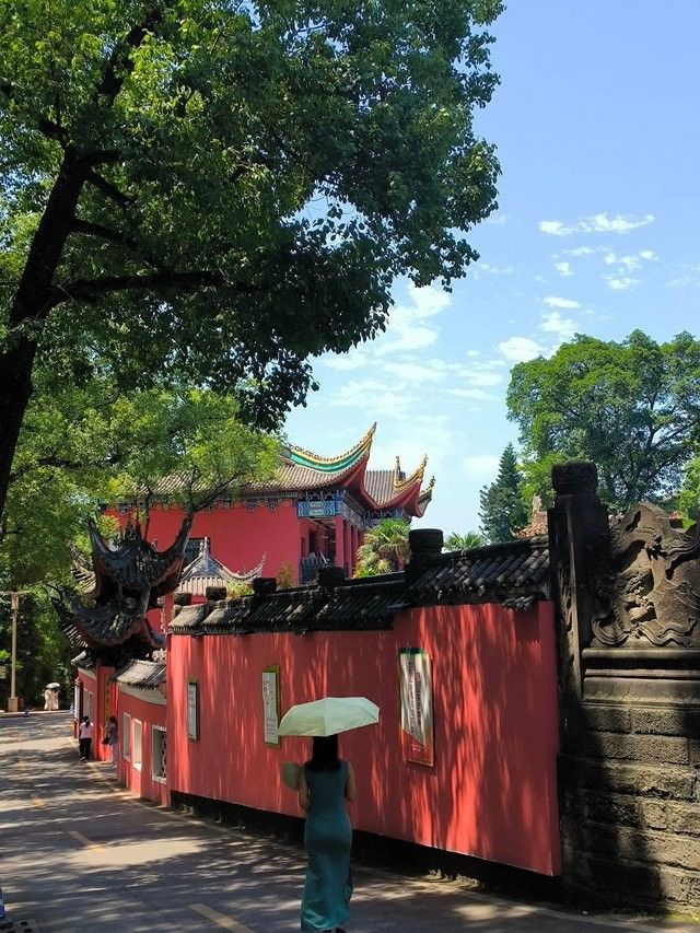 金龍魚米未來有何轉(zhuǎn)型計(jì)劃，金龍魚米將加大研發(fā)投入 金龍魚米未來有何轉(zhuǎn)型計(jì)劃，金龍魚米將加大研發(fā)投入 龍魚百科 第2張
