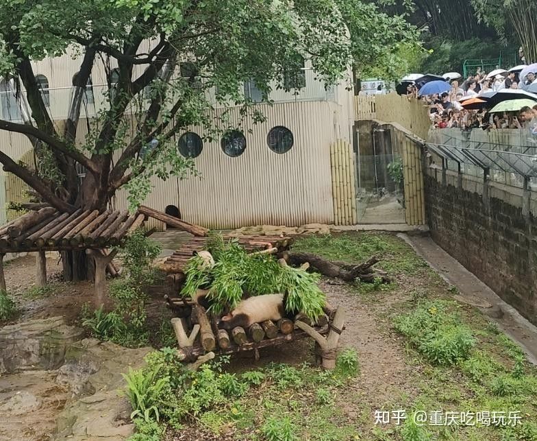 重慶九龍坡網紅景點（重慶九龍坡區華巖寺攜程旅行網打卡全民小視頻全民小視頻）